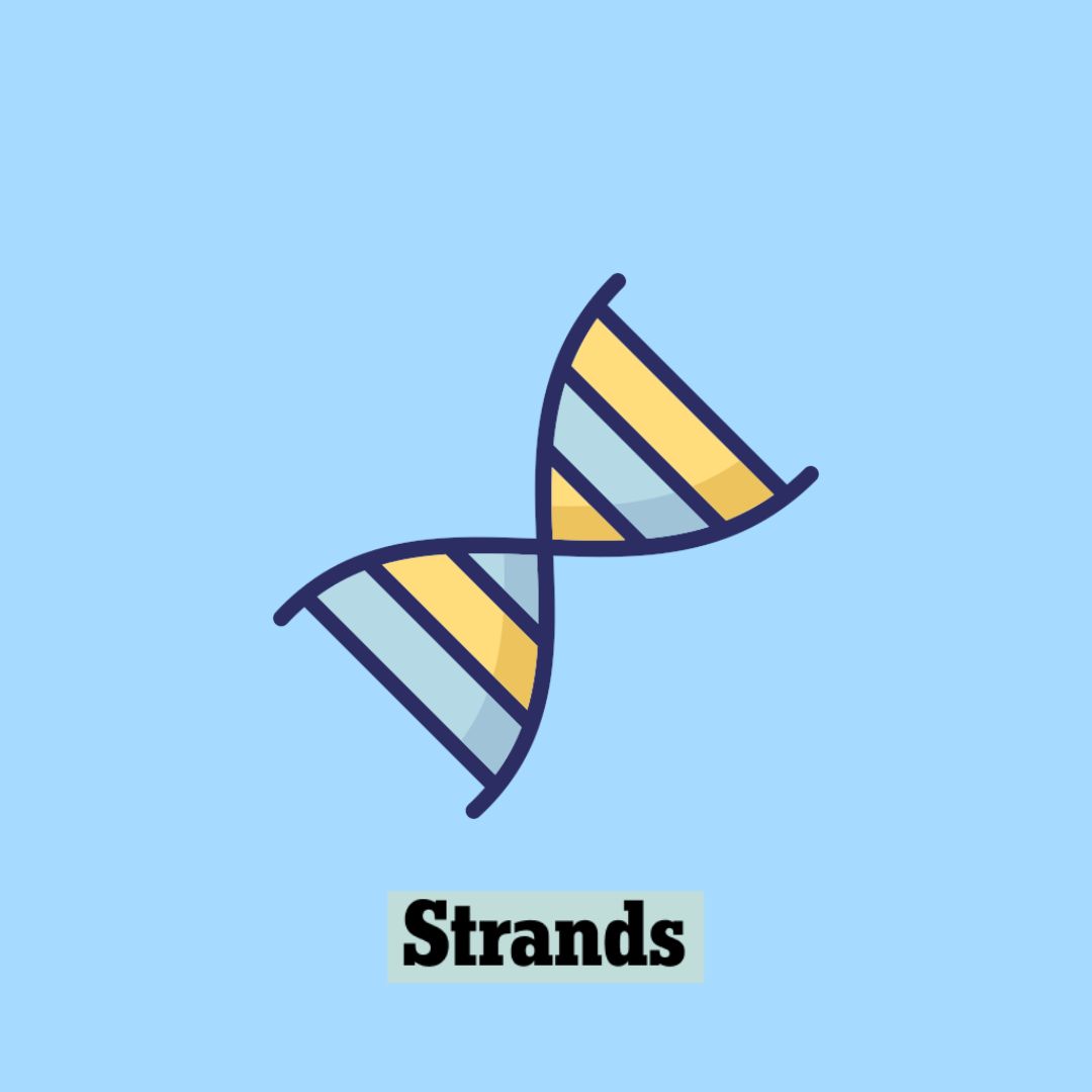 Strands Answers for March 31st